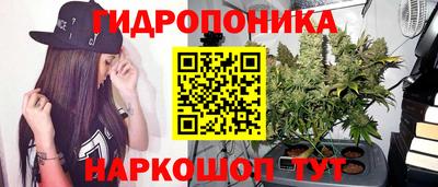 ПСИЛОЦИБИНОВЫЕ ГРИБЫ Пугачёв