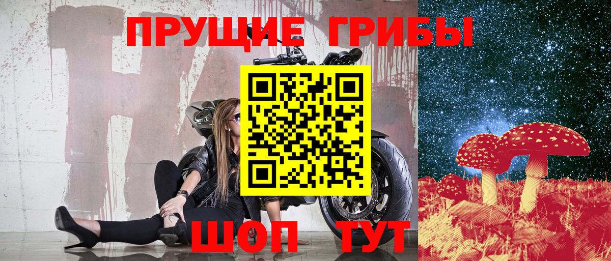 Псилоцибиновые грибы Magic Shrooms  Вход с VPN  Псков  Галлюциногенные грибы прущие грибы 